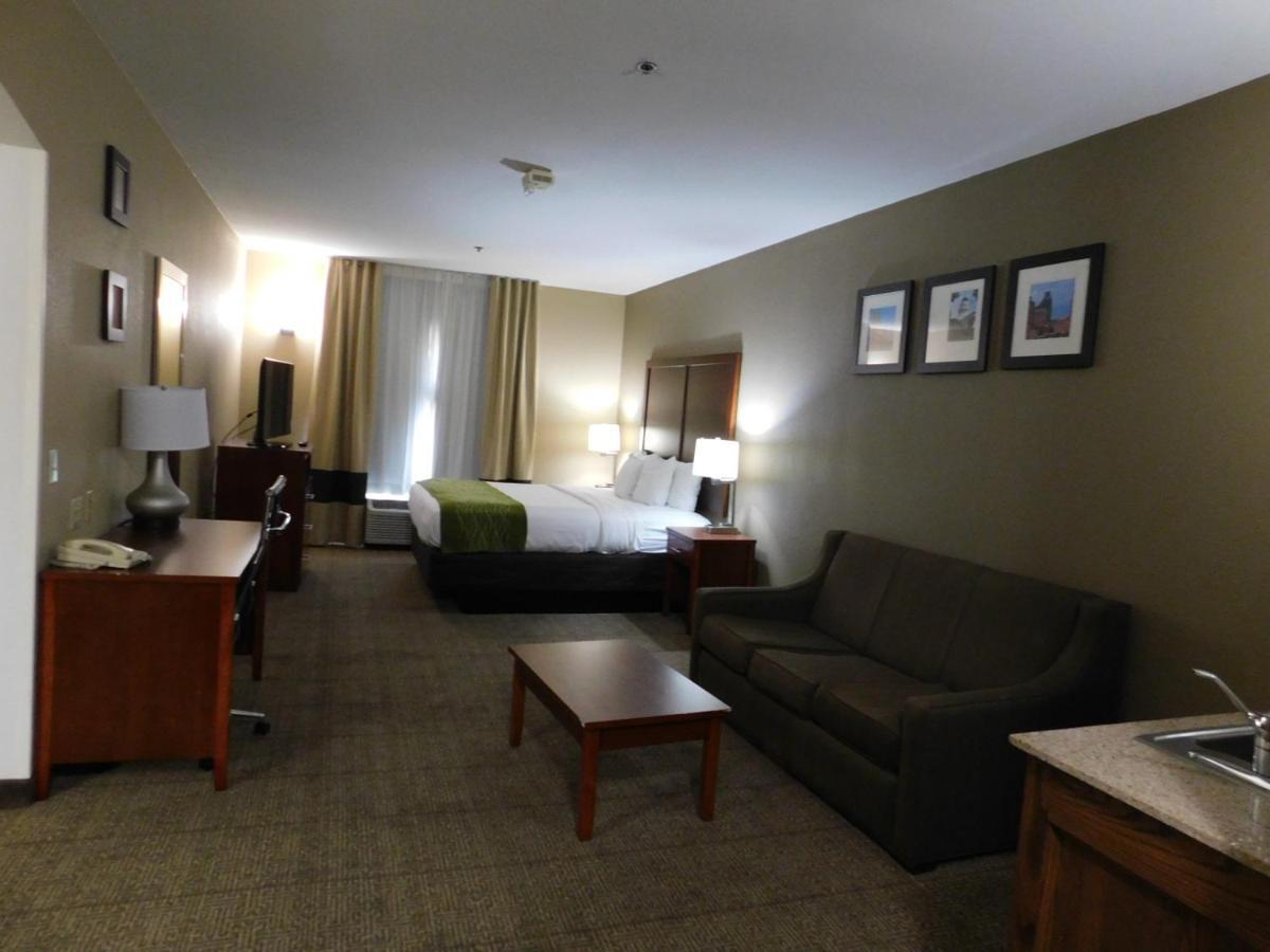 Comfort Inn & Suites Sacramento - University Area Εξωτερικό φωτογραφία